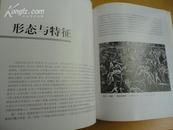 装饰绘画画理【以精美典型的图例对装饰绘画创作者提供理论指导与图解辅导】