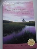 原版英语书Where the river runs 《这里河水运行》