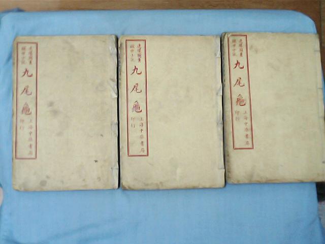 “嫖界的指南，花丛的历史”—清或民国《连环图画醒世小说九尾龟》，书后有“乐户店簿”，当年妓院流出来的