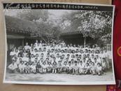 珍贵老照片 4张【 丁玲 中国作家协会文学讲习所第三 四期全体合影 1956 1957】