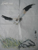 著名海派画家华三川国画一幅 《鹰击》  尺寸:52*38CM