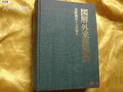 图解外来语词典 /日文版.精装