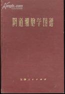 阴道细胞学图谱(73年1版1印/20开精装本/附图例236幅)