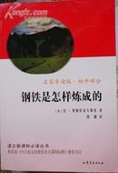 钢铁是怎样炼成的（语文新课标必读丛书，名家导读版）（07年一版一印，十品全新）