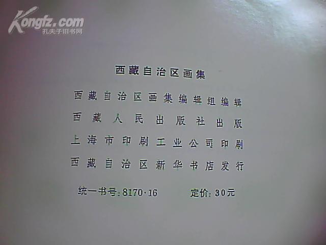 西藏自治区画集