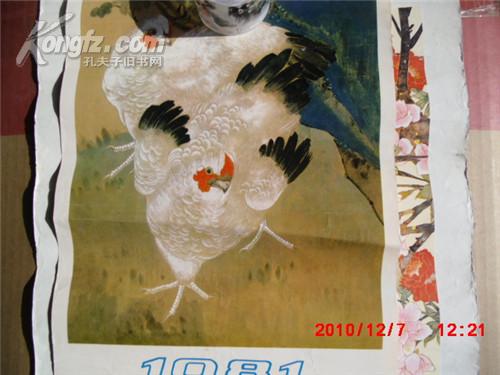 1981年年画 秋菊白鸡  陈之佛作