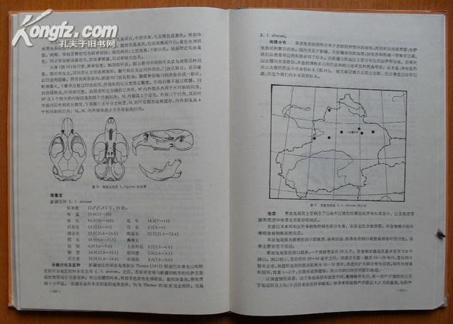 【硬精装·图谱】《新疆北部地区啮齿动物的分类和分布》（1987年1版1刷仅印1200册）