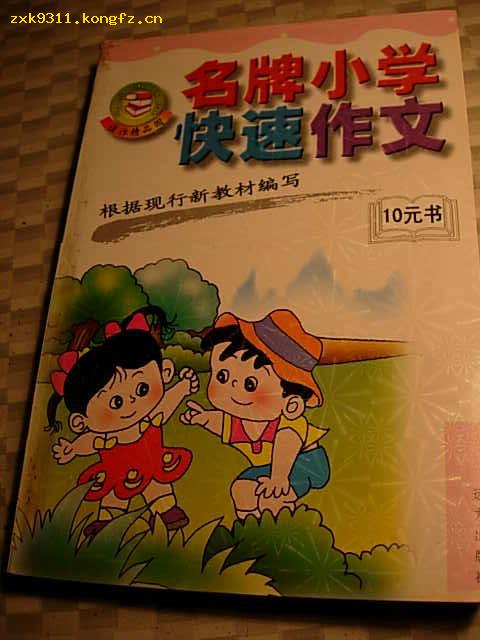 名牌小学快速作文