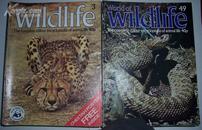 world of wildlife 3-87 缺8,12 共83册合售 铜版彩图