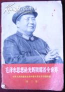 毛泽东思想的光辉照耀着全世界-世界人民热爱毛主席热爱毛泽东思想通讯集（第二集）