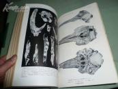 古脊椎动物与古人类【1978年有1.2.3.4.】4本