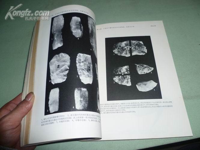 古脊椎动物与古人类【1978年有1.2.3.4.】4本