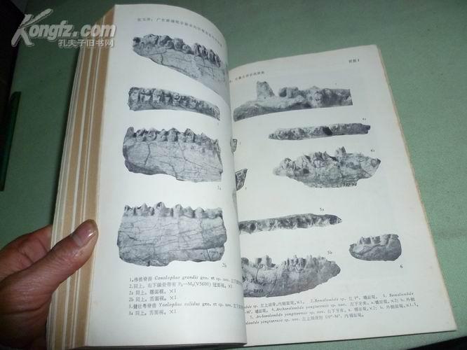 古脊椎动物与古人类【1978年有1.2.3.4.】4本