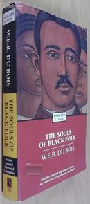 The Souls of Black Folk (Enriched Classics Series) 英文原版