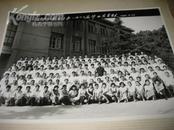 老照片一张---山东大学中文系一九八三届毕业生合影---15X20厘米，粘在影集的硬纸板上
