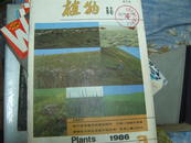 植物杂志1986年3期