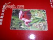 磁卡-------中国电信lc磁卡----面值30元1998年