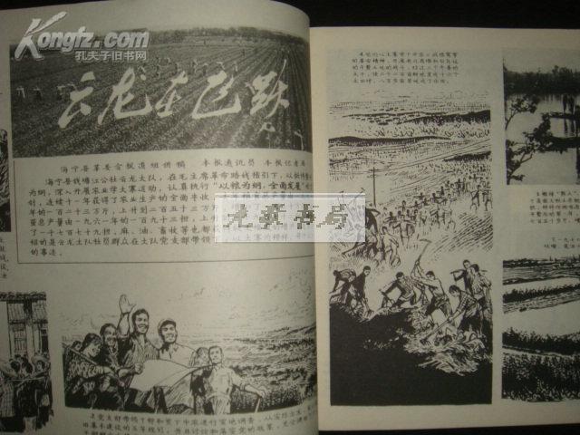 工农兵画报（1973年第16期/封面油画南海民兵/.品好）