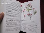 The Wild Flower Key: How to Identify Wild Flowers, Trees and Shrubs in Britain and Ireland 野生花卉检索表