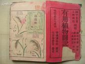 1892年线装（16*23CM）日本著名自然主义画家服部雪斋彩色木版插图：有用植物图说 2册全