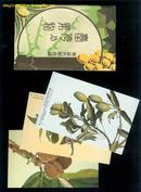 台湾果物名信片（3张全）