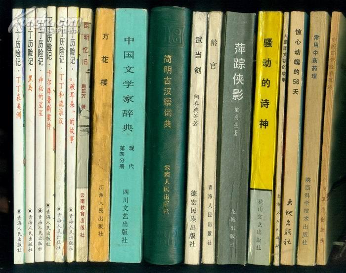中国文学家辞典 现代第四分册【一版一印】右图