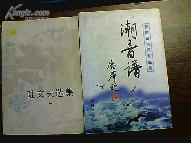 潮音谱精装
