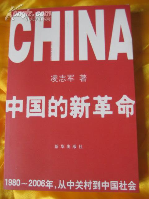 中国的新革命（1980-2006年，从中关村到中国社会）