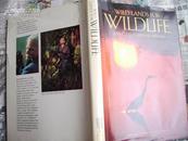 A43153 《WILD LANDS FOR  WILDLIFE AMERICA\'S NATIONAL REFUGES》翻译：美国国家保护区野生地带之野生动物