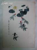 现代中国画选散页:吴作人 金鱼