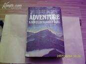 5944<ADVENTURE>英文原版 A NOVEL BY BORDEN DEAL c843