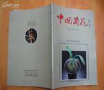 中国兰花（品种 欣赏 栽培）全彩色图版本 、大16开平装本