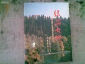 绿满大地--中国全民义务植树五周年纪念