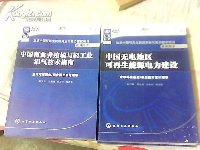 中国无电地区可再生能源电力建设、