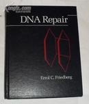 DNA Repair （英文版）【书中左上方有轻微水渍，不影响阅读】