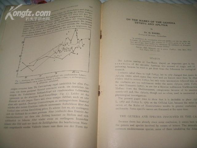 TEMMINCKIA A JOURNAL OF SYSTEMATIC ZOOLOGY SPECIMEN COPY OF VOLUME I 《特明基亚系统动物学杂志》第一卷标本副本