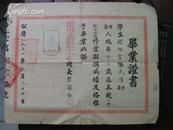 1951年湖北省武汉市立武昌第十小学毕业证书校长张葆仁签章【杨绍云】