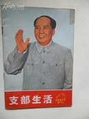 革命戏样画刊《支部生活》