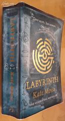 迷宫 Labyrinth：Three Secrets.Two Women.One Grail 英文原版