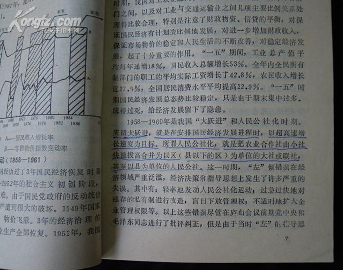 中国的经济恶性波动