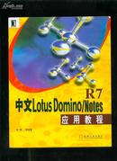 中文L0tus Domino/Notes R7 应用教程