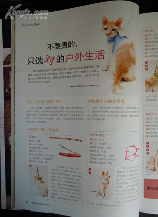 点击查看原图 宠物世界DOG FANS(狗迷)  总213期