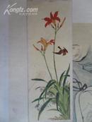 老贺年卡——花鸟美术画片（1960年）