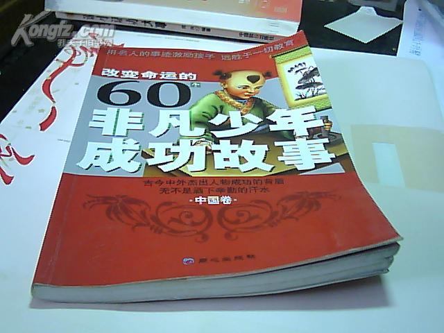 改变命运的60个非凡少年成功故事.中国卷