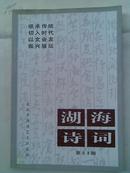 诗词----湖海诗词   总第43期   大32开   216页   2004年