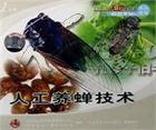 人工养蝉技术,食用昆虫养殖技术-CCTV7农广天地
