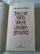 THE CAT WHO WENT UNDERGROUND  猫人转入地下