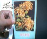老贺年片：菊花 背后有款1965年元旦 64开有版权 3分