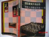 国际象棋开局向导（特级大师精采对局80例）