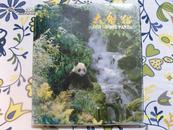 大熊猫---DER GROSSE PANDA（英文版 1990年）